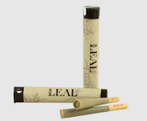 Nic the Bruiser 1g Pre-Roll
