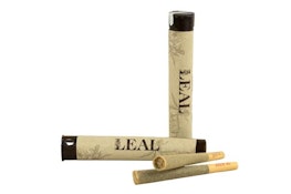 Chemdawg | Pre-roll | 1g | Leal