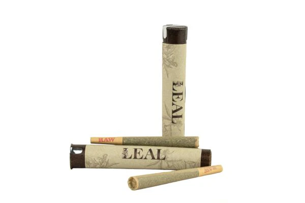 Leal - Nic The Bruiser | Pre-roll | 1g | Leal Main Image