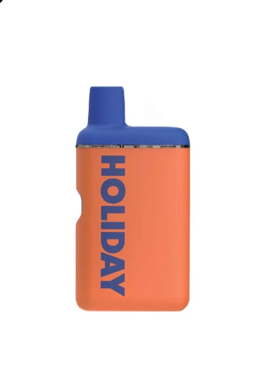 HOLIDAY - Leisure | AIO | 0.5g | Holiday Main Image