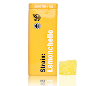 Drops - Rosin Gummy - 20 Pack - 100 mg - (Active) Lemon / Lemonchello