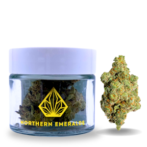NORTHERN EMERALDS - Durban Poison - Jarred (Eighth)