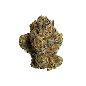 Lemon Cherry Gelato | Indica