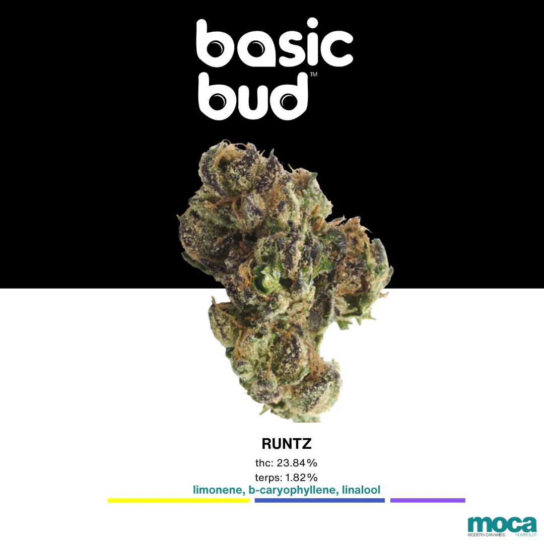Basic Bud - Basic Bud - 1/4 Bag - Runtz Main Image