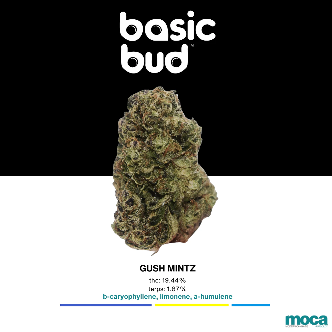 Basic Bud - Basic Bud - 1/8th Bag - Gushmintz Main Image