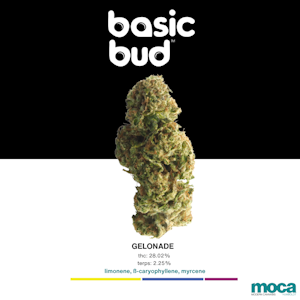 Basic Bud - Basic Bud - 1/2oz Bag - Gelonade