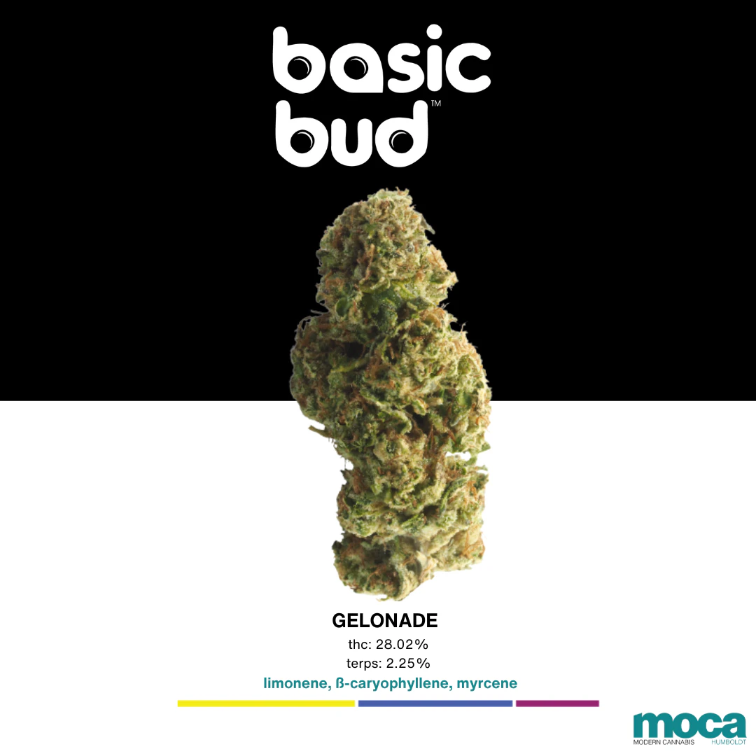 Basic Bud - Basic Bud - 1/2oz Bag - Gelonade Main Image