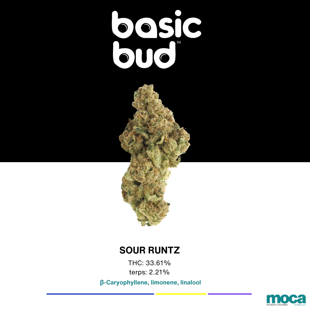 Basic Bud - Basic Bud - 1oz - Sour Runtz Main Image