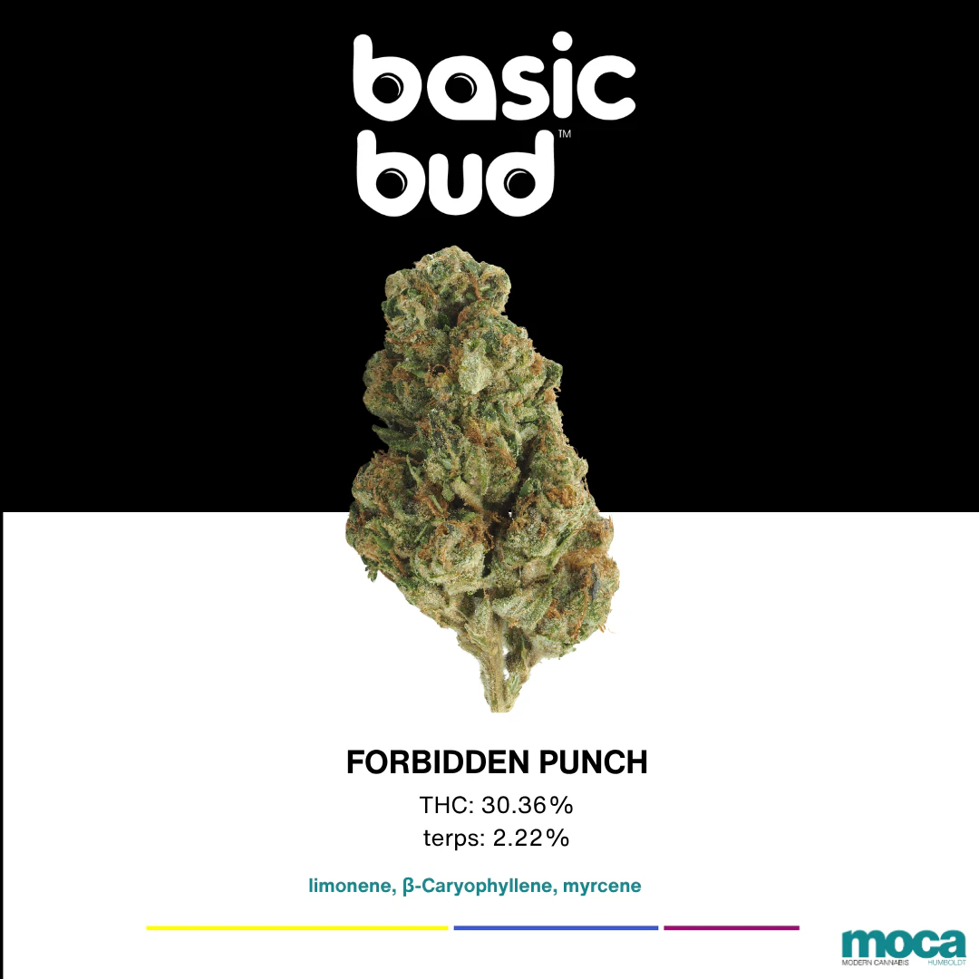 Basic Bud - Basic Bud - 1oz - Forbidden Punch Main Image