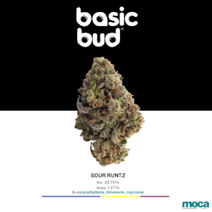 Basic Bud - Basic Bud - 1/4 Bag - Sour Runtz