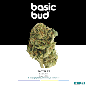 Basic Bud - Basic Bud - 1/8th Bag - Cartel OG Smalls