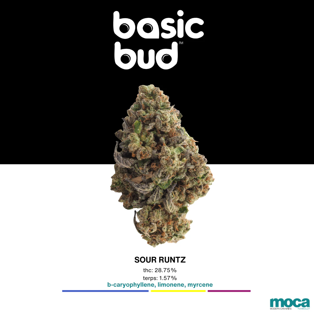 Basic Bud - Basic Bud - 1/8th Bag - Sour Runtz Main Image