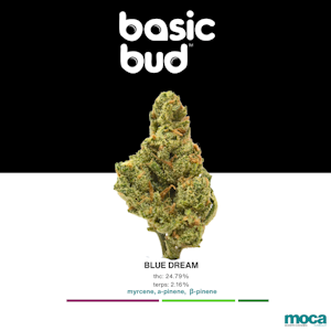 Basic Bud - Basic Bud - 1/4 Bag - Blue Dream