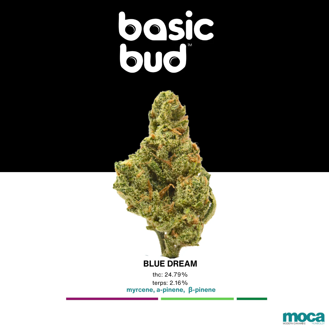 Basic Bud - Basic Bud - 1/4 Bag - Blue Dream Main Image