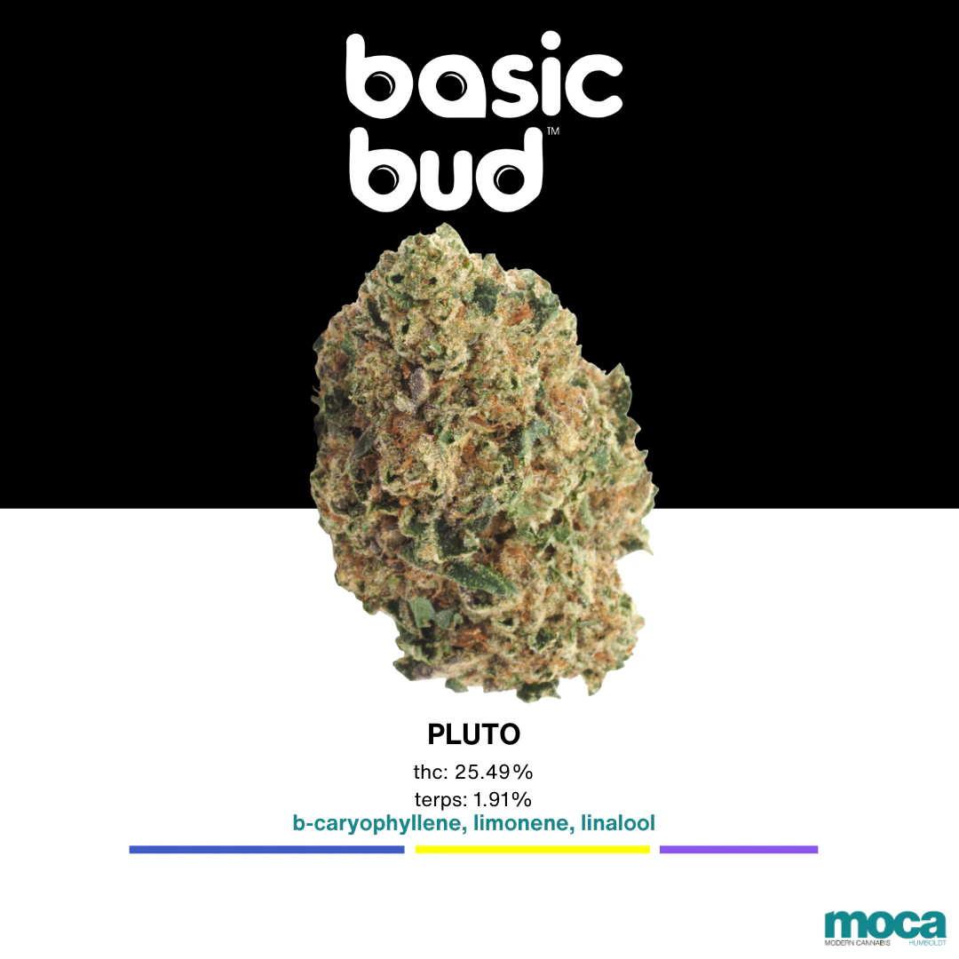 Basic Bud - Basic Bud - 1/8th Bag - Pluto Main Image