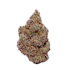 Product Preview Image 2