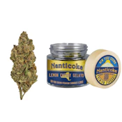 Lemon Cherry Gelato 3.5g Flower Jar