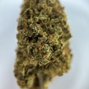 Lemon Cherry Snowcone