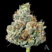 Lemon Delight Flower T26.71% H 00529