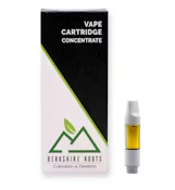 Watermelon Ice Cartridge - 1g - BSR