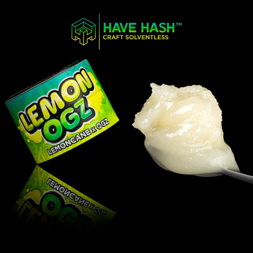 Have Hash - HAVE HASH - Cold Cure Rosin - Lemon OGZ T1 - Concentrate - 2.0g Main Image
