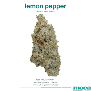 MOCA Flowers - MOCA Flowers - 1/8th Mylar Bag - Lemon Pepper