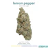 Product Preview Image 1
