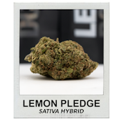 Lemon Pledge