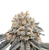 [REC] Victory Natural Farms | Lemon Runtz | 3.5g Flower