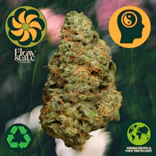 Flow State Lemon Shiv 42198