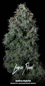 ALTERNATIVE SOLUTIONS - Lemon Skunk Preroll 3 Pack SUPREME By Alt Sol