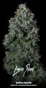 ALTERNATIVE SOLUTIONS - Lemon Skunk 3.5 Gram Jar By Alt Sol