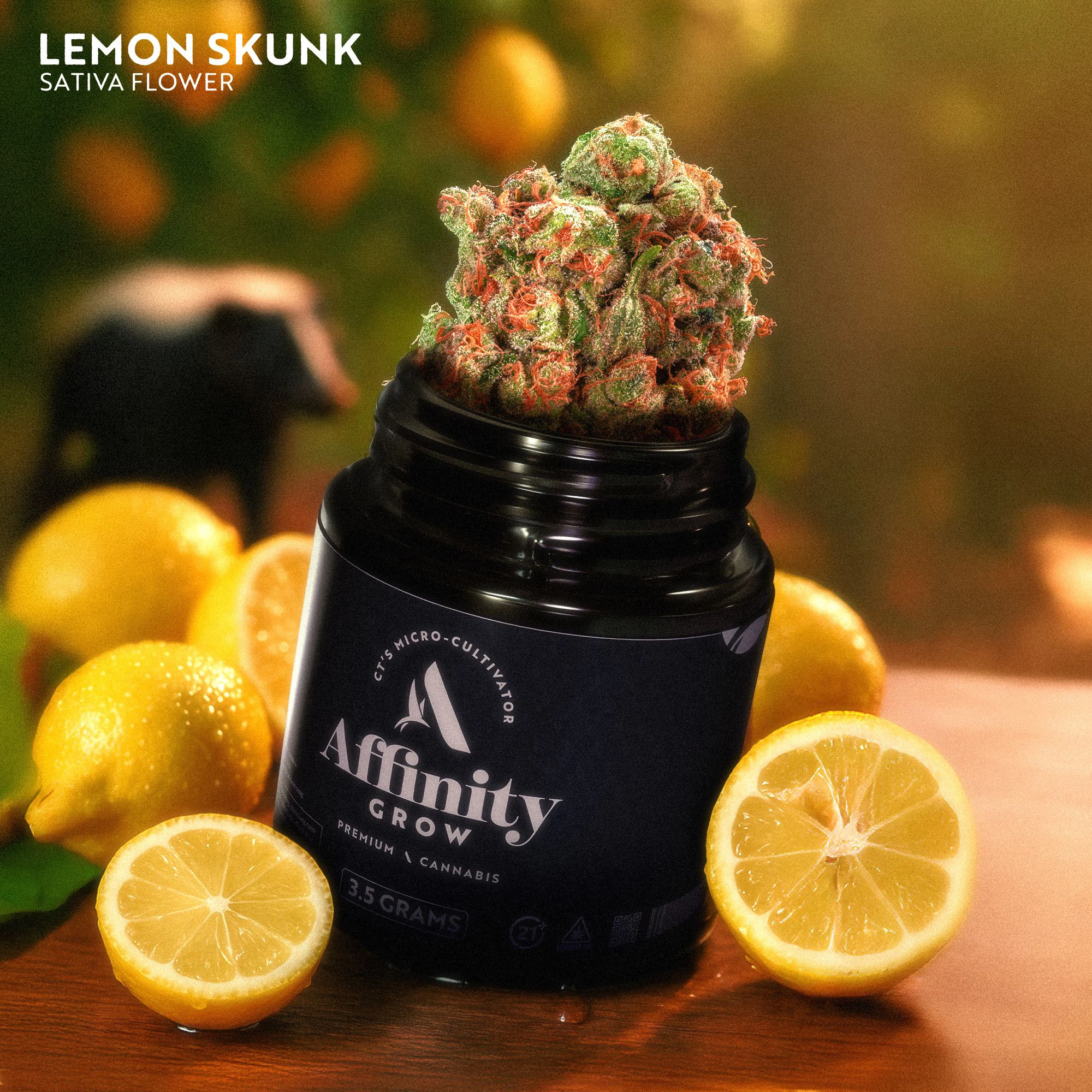 AFFINITY - Lemon Skunk Flower T24.65% S 00697 Main Image