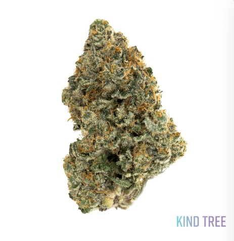 [REC] Kind Tree | Lemon Splash | 3.5g