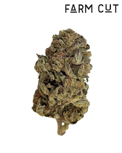 FARM CUT - Lemon Cherry Sherb