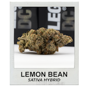 Lemon Bean