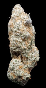 Lemon Boof - Buds