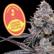Lemon Cherry Gelato 0.5g/2pk Prerolls