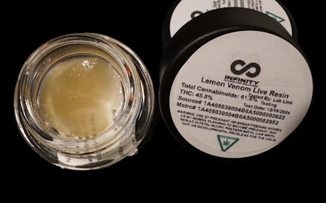 Sugar_Lemon Venom_Bulk