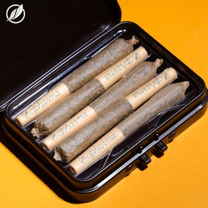 CT Pharma - Lemon Skunk Shorties S 25567