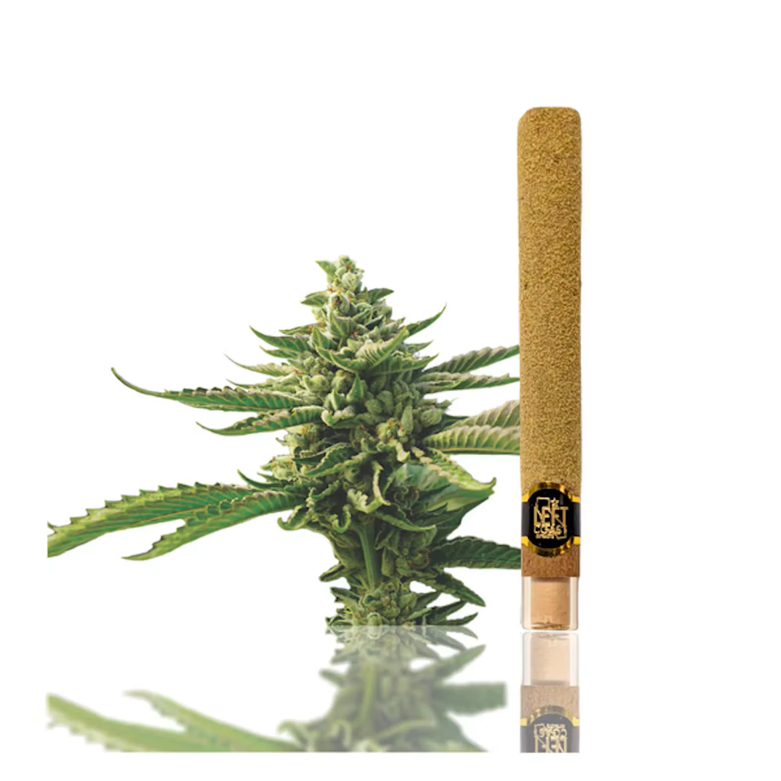 LEFT COAST - Lil Leftys | Pumpkin Spice | Infused Blunt | 2g Main Image
