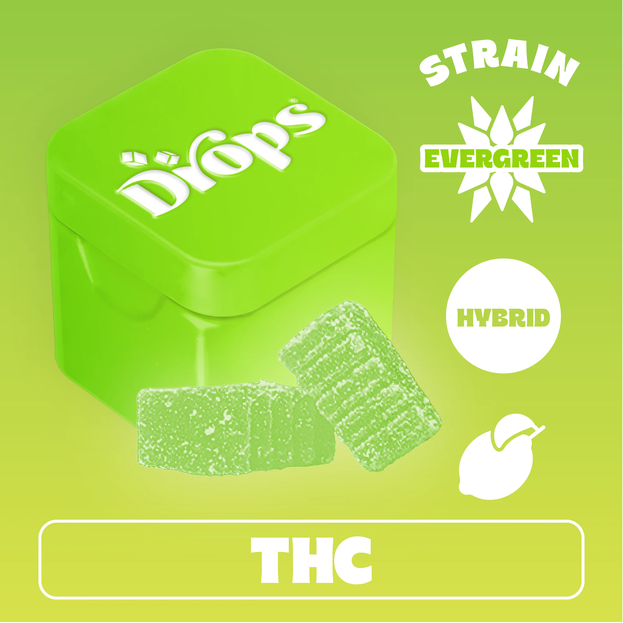 Drops - Drops | Live Rosin Gummies | Lime | Evergreen | 100mg Main Image