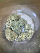 Mischief | Lime Glow | 3.5g (Eighth) (CANNABIS FLOWER (PACKAGED))
