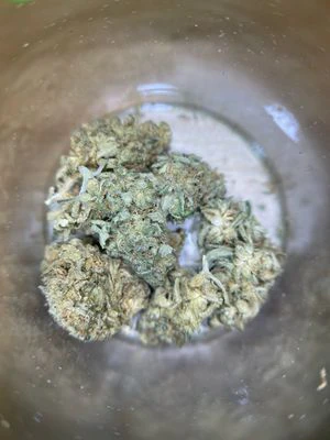 Mischief - Mischief | Lime Glow | 3.5g (Eighth) (CANNABIS FLOWER (PACKAGED)) Main Image
