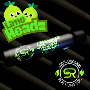Lime Heads (Pre Rolls)