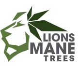 Lions Mane - Mango 7g Main Image