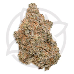 OMG CANNABIS CO. - OMG CANNABIS | Lip Smacker | 3.5G Main Image