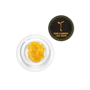 God's Breath (I) | 1g Live Resin Concentrate | Raw Garden