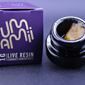 Umamii - Bacio Mintz - 1g Live Resin