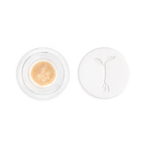 RAW GARDEN -  Alien OG Live Rosin 